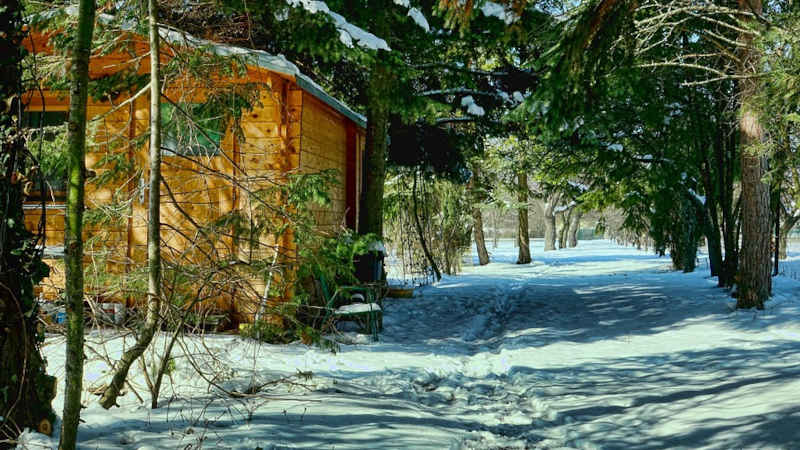 Quale vernice per la nostra casetta in legno